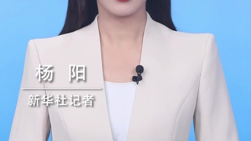 网络安全审计系统：价格背后的考量因素**